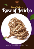 Jericho Rose (Chajarat Mariam) – The Resurrection Plant)